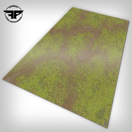 Old World Llanuras de los Elfos