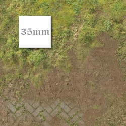 Old World Llanuras de los Elfos